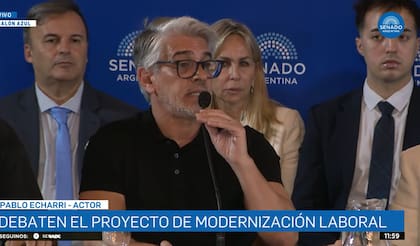 Pablo Echarri expuso en el Senado