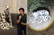 Pablo, el argentino que dejó a su familia para ser therian dálmata en México: “Ladra y odia bañarse”