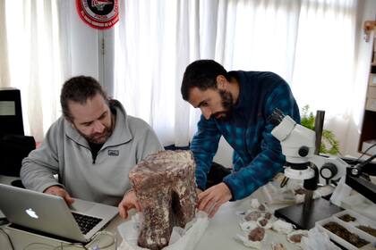 Pablo Gallina y Juan Canale trabajando en la oficina del laboratorio