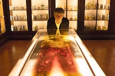 Ciencia, arte e historia se trenzan de forma inesperada en el trabajo de un argentino en Nápoles