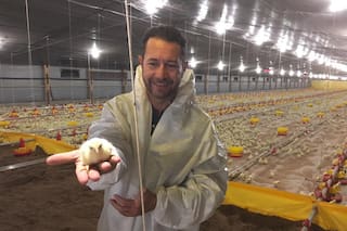 Se inició con 12 gallinas y su cuarta generación invierte millones