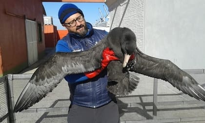Pablo Petracci en la Estación de Rescate de Fauna Marina Guillermo Indio Fidalgo