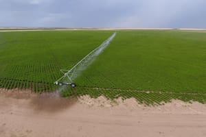 Empezó como verdulero y ahora invertirá US$50 millones en un ambicioso polo exportador