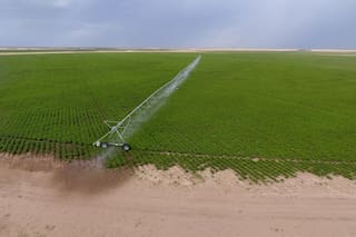 Empezó como verdulero y ahora invertirá US$50 millones en un ambicioso polo exportador