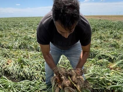 Pablo Ríos comenzó como verdulero y se dedicó de lleno a la distribución, hasta que se metió en la faceta productiva