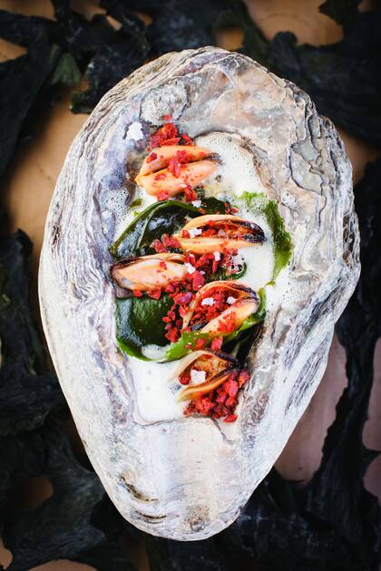 Pablo Soto: mejillones al viento