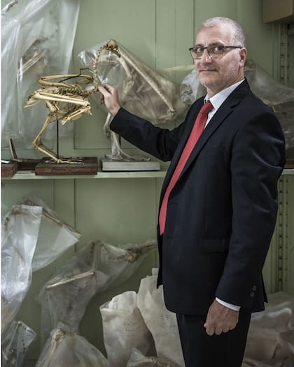 Pablo Tubaro, director del museo desde fines de 2011, descubrió su vocación a los 5 años.