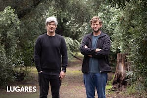 Pablo y Guillermo Geier en los olivares históricos de Olium.