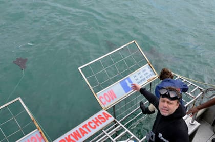 Paco Nadal, periodista de El País de España, a punto de meterse en la jaula para estar muy cerca de los tiburones blancos.