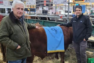 La familia de hacedores de campeones que trabaja por un codiciado sello