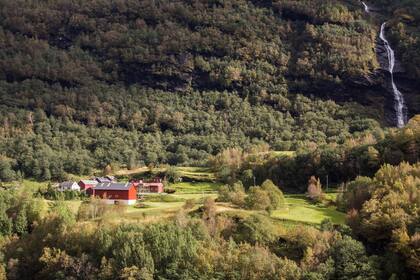 Paisaje interior de los fiordos, verde por la lluvia.