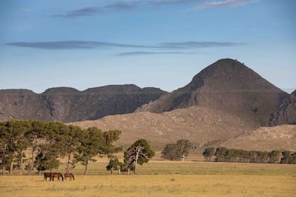 Paisaje serrano en Sierra de la Ventana.