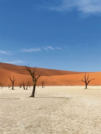 Paisajes desoladores e imponentes