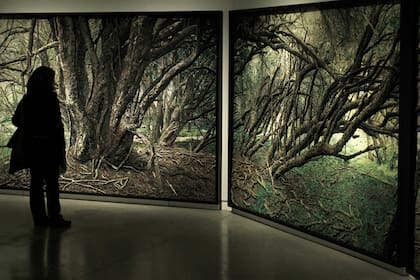 "Argentina (Paisajes)", la obra del grupo Mondongo que compró Buhar este año por US$1.270.000, se exhibirá de forma permanente en un nuevo espacio cerca de la Reserva Ecológica, con la colgada completa que convocó 85 mil personas en el Museo de Arte Moderno, en 2013
