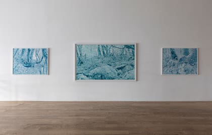 Paisajes para perderse en la muestra "Entre los árboles", de Gastón Herrera