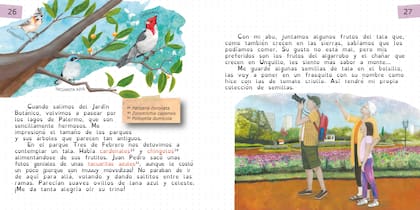 Pájaros con tonada porteña, registradas por Malén su diario de viaje