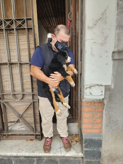Pájaros muertos y perros hacinados en un criadero clandestino en Pompeya