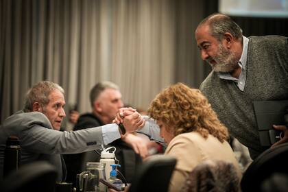 Palazzo y Daer se saludan en la Comisión de la legislación del trabajo en Diputados