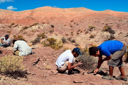 Paleontólogos del MACN prospectando los yacimientos de rocas Cretácicas de 90 millones de años