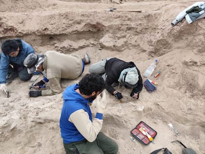 Paleontólogos trabajan en el sitio de excavación cerca de Cinco Saltos