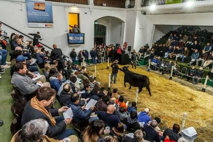 Palermo es un termómetro para la toma de decisiones por parte de los ganaderos