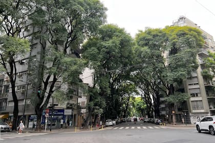 Palermo es uno de los barrios más caros tanto para comprar como para alquilar