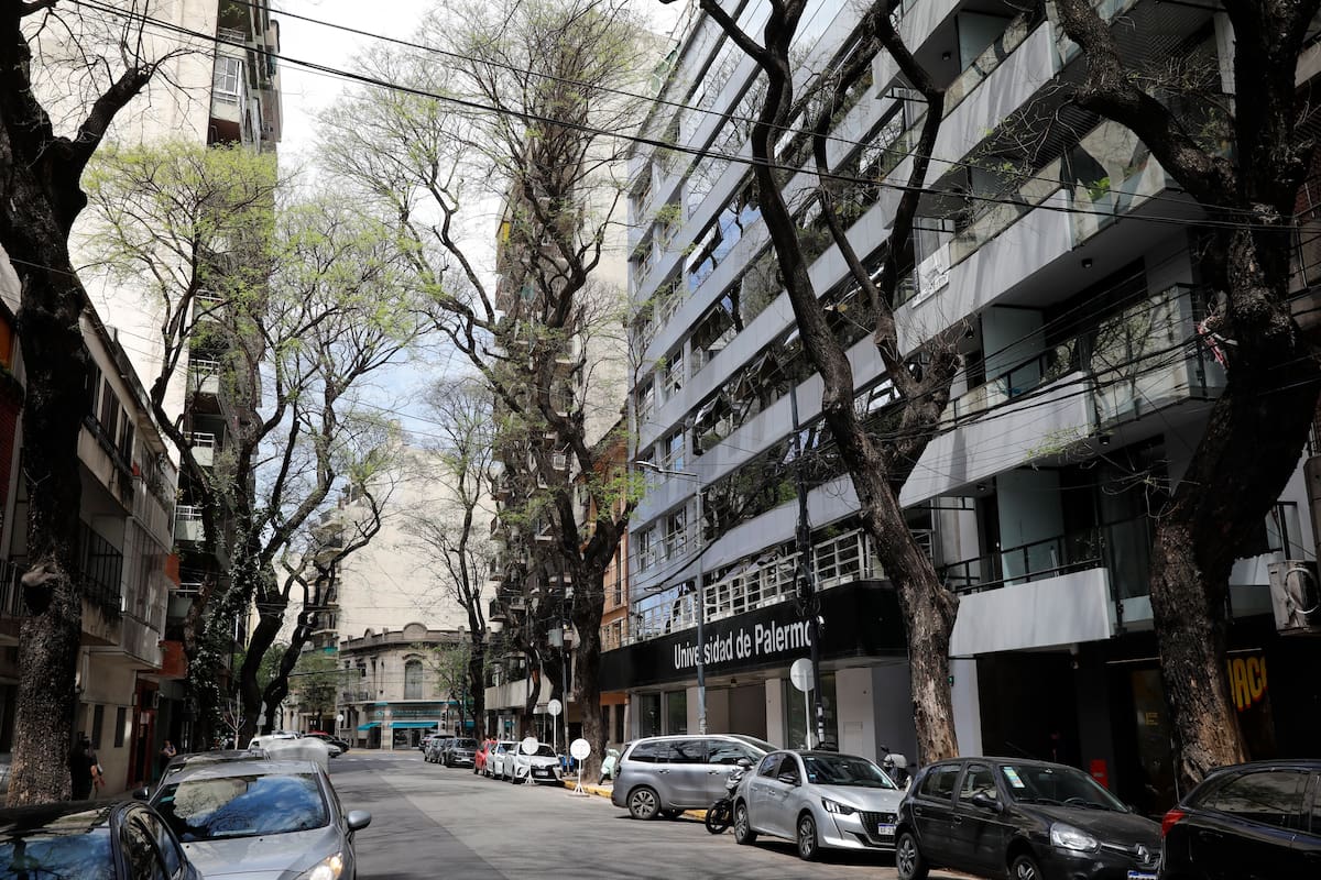 Demanda Constante de Departamentos en Alquiler: La Zona de la Ciudad que Nunca Duerme