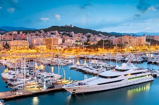 ¿Cómo se conoce popularmente a la Catedral de Mallorca?