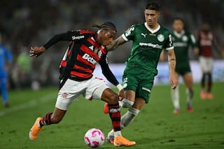 Palmeiras vs. Flamengo, por la final de la Copa Libertadores 2025: día, horario, TV y cómo ver online