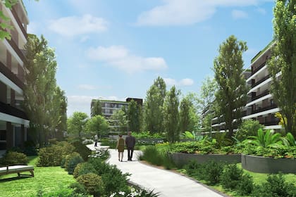 Palmera Campus tiene un gran parque de 6.000 m2.