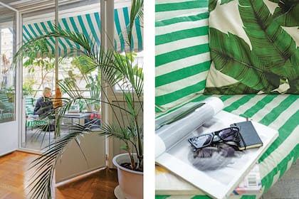 Palmeras de interior dan paso al exterior, donde el verde se replica en los textiles.