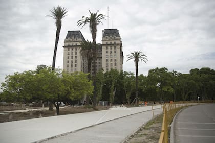 Palmeras y el edificio Libertador
