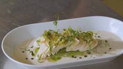 Palta Mayo por Benjamín Nast.