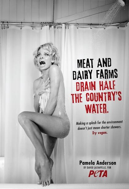 Pamela invita a convertirse al veganismo...