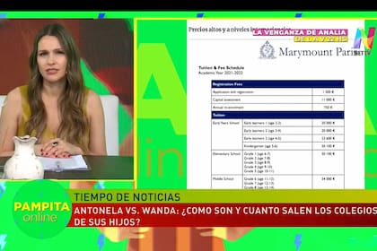 Pampita Ardohain se asombró al saber cuánto cuesta la escuela a la que van los hijos de Wanda Nara