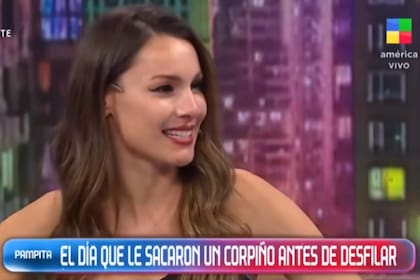 Pampita contó que antes de un desfile le robaron un corpiño y ella misma se tuvo que poner a coser antes de salir a la pasarela (Foto: Captura América TV)