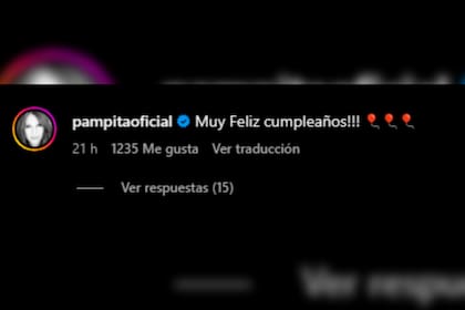 Pampita saludó a su expareja por su cumpleaños (Captura Instagram @benjaminvicuna.ok)