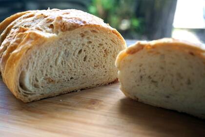 Pan con chicharrón en Roal