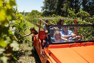 23 fotos de la vendimia familiar en El Refugio, la chacra entrerriana donde produce malbec