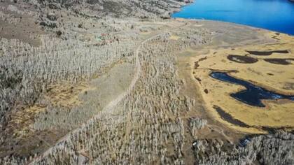 Pando está ubicado en un área de 43 hectáreas cerca de Fish Lake, en Utah, Estados Unidos