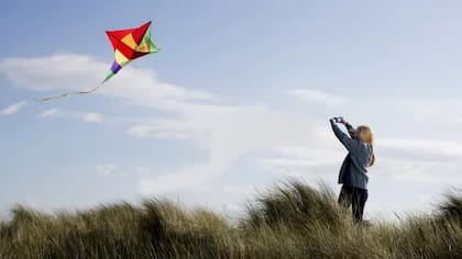 ¿Pandorga, volantín, cometa o papilote?