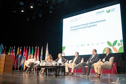 Panel de expertos en el Congreso Forestal Argentino, realizado en Mendo