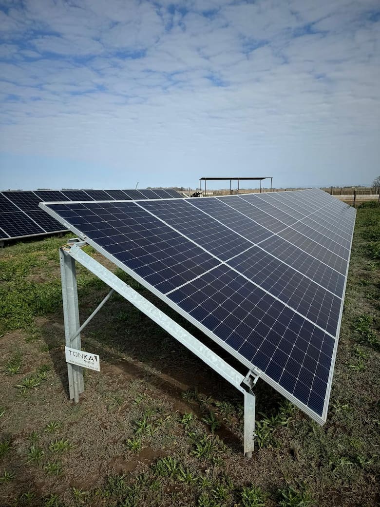 Riego por goteo solar: el INTA Manfredi demuestra que la eficiencia puede ser sustentable y rentable