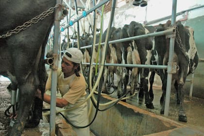 En términos nacionales, en 2025 se espera una recuperación de la producción a pesar de la seca actual