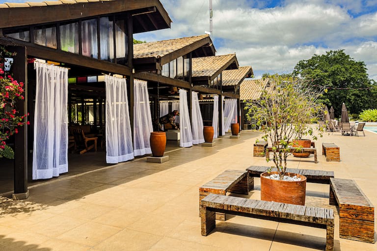 Santa Rosa Pantanal Hotel es un lugar ideal para hacer base y salir a recorrer el humedal; una iguana verde se deja ver entre enredaderas