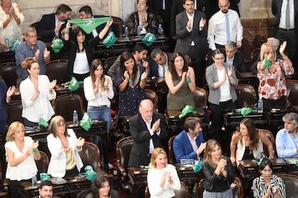 Pañuelos verdes en el Congreso