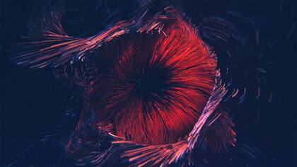 Paola Olea, desde Santiago de Chile comparte sus pensamientos y experiencias en el campo de arte digital.