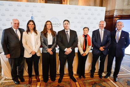 Paoltroni organizó un encuentro de juristas en el Senado para criticar la nominación de Lijo