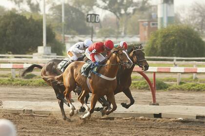 Papa Inc volvió a ser noticia