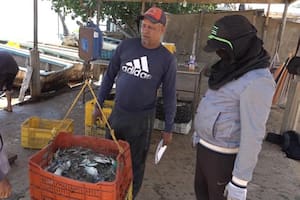 El manjar que Venezuela tuvo que dejar de exportar a EE.UU.: “Mucha gente quedó en la calle”